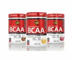 BCAA Powder, 500g ATP