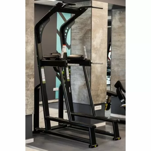 RING Chin up-Vertical knee raise (mašina za propadanje sa vratilom)-RP X-UNIV