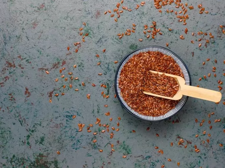 Laneno seme kao eliksir zdravlja 